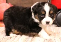 processed/9958b681-da6c-4ffd-a8da-709721758855/listing/d322195f-6a8a-4136-a261-9209998cb739/186c56a5-8061-4c00-99fc-696a947166d6