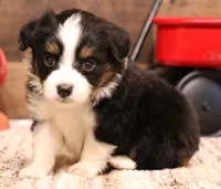 processed/9958b681-da6c-4ffd-a8da-709721758855/listing/d322195f-6a8a-4136-a261-9209998cb739/d3058d9d-a30a-4044-9aec-1a9445f60015