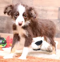 processed/9958b681-da6c-4ffd-a8da-709721758855/listing/daa77ef5-7452-4f05-b17d-6cbf1f059ff1/58c66163-ad7b-49dd-98e7-63aa4d84e4bb