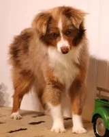 processed/9958b681-da6c-4ffd-a8da-709721758855/listing/daa77ef5-7452-4f05-b17d-6cbf1f059ff1/a07a356b-8585-4d71-bddd-d454d382c030