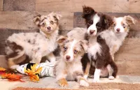 processed/9958b681-da6c-4ffd-a8da-709721758855/listing/daa77ef5-7452-4f05-b17d-6cbf1f059ff1/bf471adc-2b7e-443b-bf7a-0edd1218f6ad