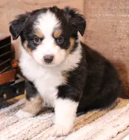 processed/9958b681-da6c-4ffd-a8da-709721758855/listing/e43dd54d-8828-4413-98de-e23121a4ba8e/23184a61-627b-447a-bea2-2cc4a7e00229