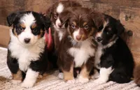 processed/9958b681-da6c-4ffd-a8da-709721758855/listing/e43dd54d-8828-4413-98de-e23121a4ba8e/b15b2d06-b155-4885-abbd-5b43250c36a4