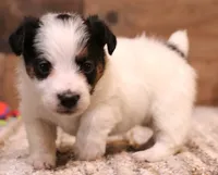 processed/9958b681-da6c-4ffd-a8da-709721758855/listing/eb2a869d-ad44-4132-baa5-3f11b24642bf/d244cee6-00a1-49cb-964a-eb70f7296a88