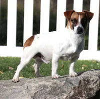 processed/9958b681-da6c-4ffd-a8da-709721758855/listing/eb2a869d-ad44-4132-baa5-3f11b24642bf/d31b5302-fed6-4bf3-a510-5a90f5d31949