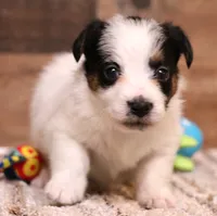 processed/9958b681-da6c-4ffd-a8da-709721758855/listing/eb2a869d-ad44-4132-baa5-3f11b24642bf/e5e31e05-d9d6-47dc-a640-3c1f93704266