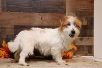 processed/9958b681-da6c-4ffd-a8da-709721758855/listing/eb2a869d-ad44-4132-baa5-3f11b24642bf/fb5b3621-dde0-4c2e-8aac-6e60955426a5