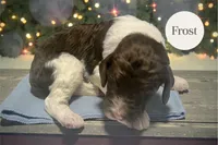 processed/9969fab2-4c30-445e-a206-ed3cb4639398/listing/61a63ac5-1446-4dcf-8f5d-fab97a5ecb97/25e686c7-1dac-4554-8bad-72cc3f0dd263