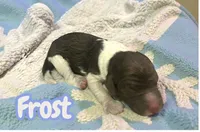 processed/9969fab2-4c30-445e-a206-ed3cb4639398/listing/61a63ac5-1446-4dcf-8f5d-fab97a5ecb97/68799e7c-4c6e-4532-8baa-30e32ab890fe