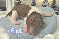 processed/9969fab2-4c30-445e-a206-ed3cb4639398/listing/61a63ac5-1446-4dcf-8f5d-fab97a5ecb97/7bb99104-3988-4f39-a499-99e5270afccf