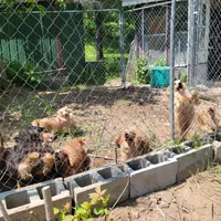 processed/9971351a-5976-4430-b0b3-036631fe877a/facility/7742cf96-1bbd-4634-bed9-03f928137602