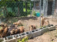 processed/9971351a-5976-4430-b0b3-036631fe877a/facility/7742cf96-1bbd-4634-bed9-03f928137602