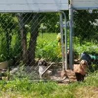 processed/9971351a-5976-4430-b0b3-036631fe877a/facility/b55a7344-cefc-41e8-bfd0-878a88bbcf30