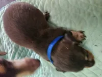 processed/9971351a-5976-4430-b0b3-036631fe877a/listing/cb2b24f3-7d17-45db-aa54-52c3b18d3685/3fc740fc-2534-4602-9993-0a52e8903193