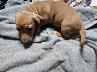 processed/9971351a-5976-4430-b0b3-036631fe877a/listing/f18adf25-0d13-4629-b802-b805de392d19/35a7d857-5b0a-4958-863c-a4c22961a0b8