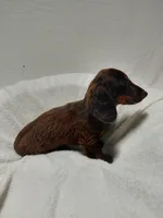 Mr. Fudge, a male Miniature Dachshund for sale in Hughes Springs, TX – Photo 3 of 6