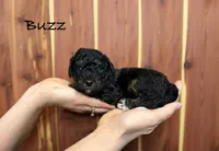 processed/997d5945-fc50-4bc1-80d2-6b954fd5f59b/listing/ebf4b173-3fbf-4621-b771-444a4da4040e/0e240756-1466-4d98-8174-3776609266cf