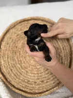 processed/997d5945-fc50-4bc1-80d2-6b954fd5f59b/listing/ebf4b173-3fbf-4621-b771-444a4da4040e/98c288c5-0d85-48aa-9cdc-d51d5cc589c6