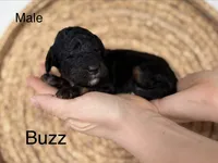 processed/997d5945-fc50-4bc1-80d2-6b954fd5f59b/listing/ebf4b173-3fbf-4621-b771-444a4da4040e/e1de9a82-9754-4fac-ab8d-58f02e1e7950