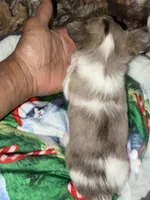 processed/997ff117-6981-4459-9864-ca6214d3aa5f/listing/4a1fa5d1-501c-4de4-9882-59357208e8cf/732a6284-37cc-4903-8515-01d1eace1695