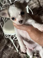 processed/997ff117-6981-4459-9864-ca6214d3aa5f/listing/4a1fa5d1-501c-4de4-9882-59357208e8cf/b09394cf-a089-48a4-809b-5489fcdaaa05