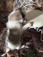 processed/997ff117-6981-4459-9864-ca6214d3aa5f/listing/4a1fa5d1-501c-4de4-9882-59357208e8cf/ba33adc5-b694-410d-bab7-3a19eddc989a