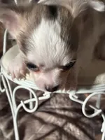 processed/997ff117-6981-4459-9864-ca6214d3aa5f/listing/4a1fa5d1-501c-4de4-9882-59357208e8cf/eea30ad1-2d3f-41b0-bbb2-4c3b5b461e78