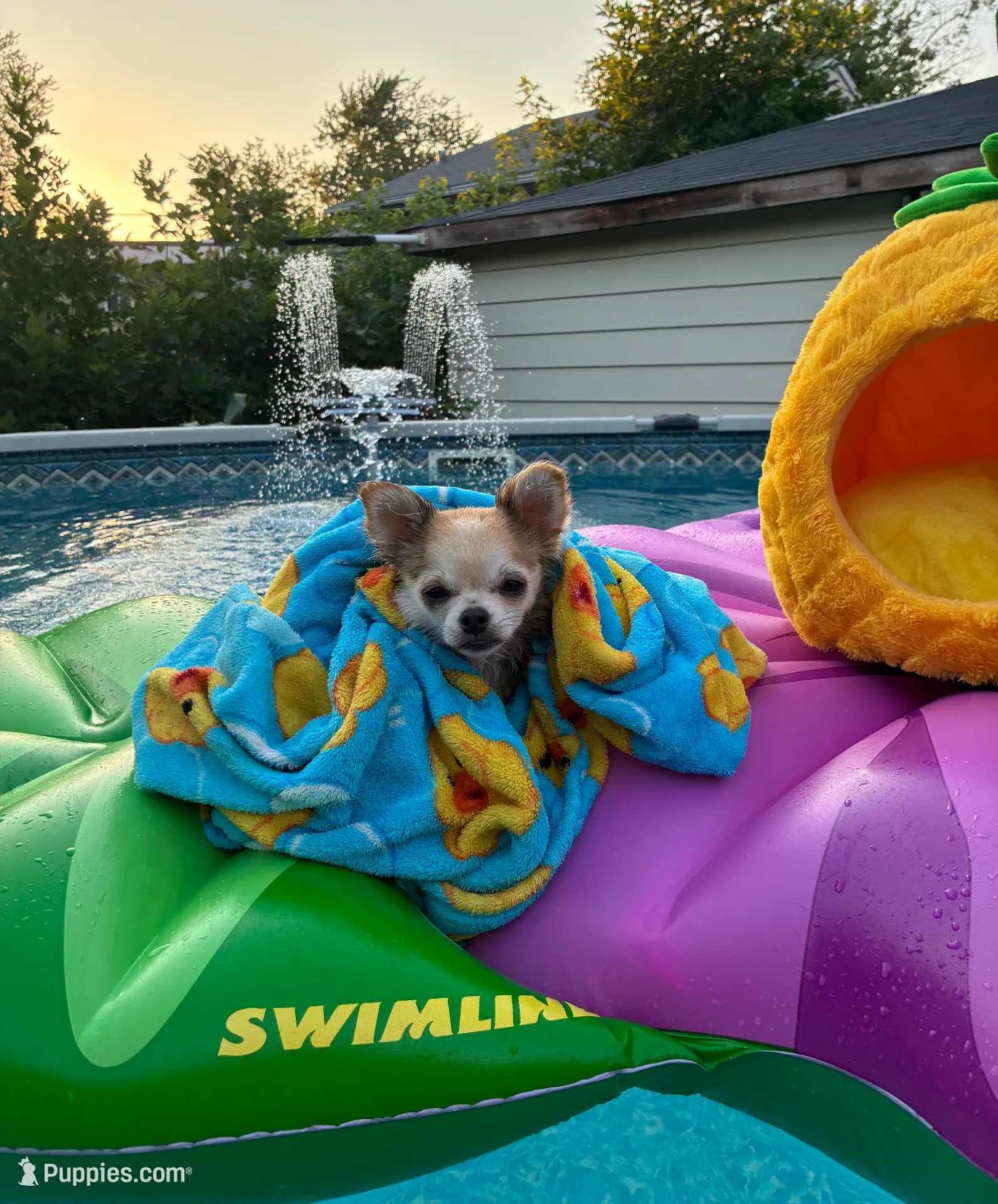 processed/997ff117-6981-4459-9864-ca6214d3aa5f/listing/a78d8bca-9f3b-4ce7-8ce6-2b49ed180d97/025a0b00-3c0f-42a5-8e0d-9b259e98fa2a