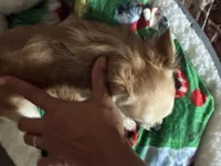 processed/997ff117-6981-4459-9864-ca6214d3aa5f/listing/a78d8bca-9f3b-4ce7-8ce6-2b49ed180d97/22253550-7fc4-4d31-9456-f3231dfa44c5