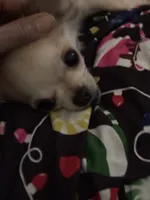 processed/997ff117-6981-4459-9864-ca6214d3aa5f/listing/a78d8bca-9f3b-4ce7-8ce6-2b49ed180d97/8ac1a8b5-bd7d-4a70-bab2-062c1387b734