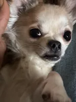 processed/997ff117-6981-4459-9864-ca6214d3aa5f/listing/a78d8bca-9f3b-4ce7-8ce6-2b49ed180d97/a1cc22e2-81bd-4f0d-b026-76b14a98adfd