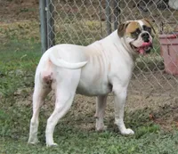 processed/997fff3d-ed27-478d-aae9-b9e9d1545b67/listing/5866ed44-faca-4c96-abe1-7e9c28161718/379c318d-cdfb-42d5-960d-1eab16093f87