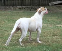 processed/997fff3d-ed27-478d-aae9-b9e9d1545b67/listing/5866ed44-faca-4c96-abe1-7e9c28161718/774fc347-2ffb-44fa-bb2b-8fb65db41cb8