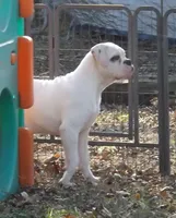 processed/997fff3d-ed27-478d-aae9-b9e9d1545b67/listing/5866ed44-faca-4c96-abe1-7e9c28161718/f5f1d70c-65d2-4d20-ae16-232a22a21264