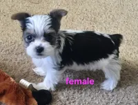 processed/998061f0-1eef-42e1-8224-c3e2efd3e12d/facility/061a97c4-1ef9-4eb9-b182-f7518af99bfc