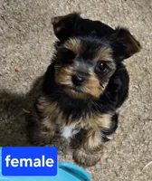 processed/998061f0-1eef-42e1-8224-c3e2efd3e12d/facility/1cf21383-fdf6-4d95-b5dc-c6670a0ebc96