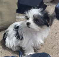 processed/998061f0-1eef-42e1-8224-c3e2efd3e12d/facility/2dc370b4-2ac7-491a-9b8b-a889a7130a8c