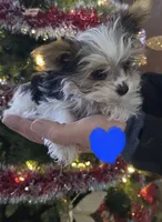 processed/998061f0-1eef-42e1-8224-c3e2efd3e12d/facility/68721eb0-20bf-4a32-8693-a708e969d2d5