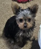 processed/998061f0-1eef-42e1-8224-c3e2efd3e12d/facility/913e2128-c8a6-48f5-b2fb-26c73e135329