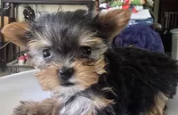 processed/998061f0-1eef-42e1-8224-c3e2efd3e12d/facility/9a453e86-db5a-4252-8a69-b382d6fe717b