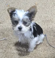 processed/998061f0-1eef-42e1-8224-c3e2efd3e12d/facility/ae222b7d-c0fe-4836-8eb7-8156cd149e8c