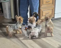 processed/998061f0-1eef-42e1-8224-c3e2efd3e12d/facility/d18c20d1-5363-4f71-9b56-1a87673e4a8d