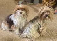 processed/998061f0-1eef-42e1-8224-c3e2efd3e12d/facility/ed3a7dbc-0900-4dab-a7ce-af0630d4fbfe