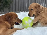 processed/998e70bd-91dd-41b7-8c78-2e1dab016e81/facility/2b050ed7-8694-4fd8-bc99-655120773648