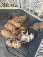 processed/998e70bd-91dd-41b7-8c78-2e1dab016e81/facility/32465a74-f710-4c61-b5c8-9454bd5915d7