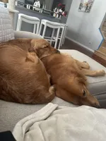 processed/998e70bd-91dd-41b7-8c78-2e1dab016e81/facility/9d507e99-847f-4046-8d72-ead98f706bac