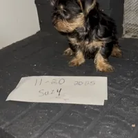 processed/99915d35-21df-4032-88c7-ccc8176c6b2c/facility/3e81a5b2-8e72-4853-bc0a-e620cda6f102