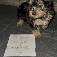 processed/99915d35-21df-4032-88c7-ccc8176c6b2c/facility/acecc2a2-5a50-41c2-9cbe-01724067dd95