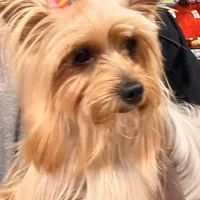 processed/99915d35-21df-4032-88c7-ccc8176c6b2c/facility/ec7c2ace-67cd-433d-b378-9e7f3b2eb05a