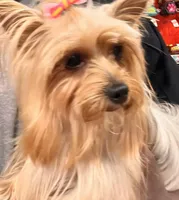 processed/99915d35-21df-4032-88c7-ccc8176c6b2c/facility/ec7c2ace-67cd-433d-b378-9e7f3b2eb05a